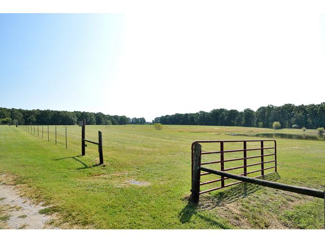 400 White Road Pulaski, TN 38478 - Photo 16 of 19