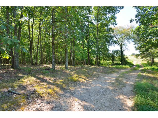 400 White Road Pulaski, TN 38478 - Photo 17 of 19