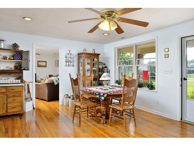 400 White Road Pulaski, TN 38478 - Photo 4 of 19
