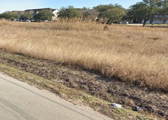 a view of a lake view with lots of trees