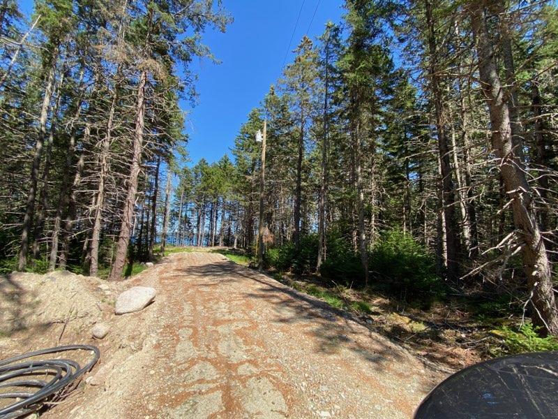 715 Paul Bunyan Road Corea, ME 04624 - Photo 3 of 14 IMG_20250827_163357 (11)