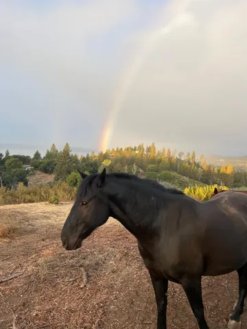 a view of a lake in middle of the town