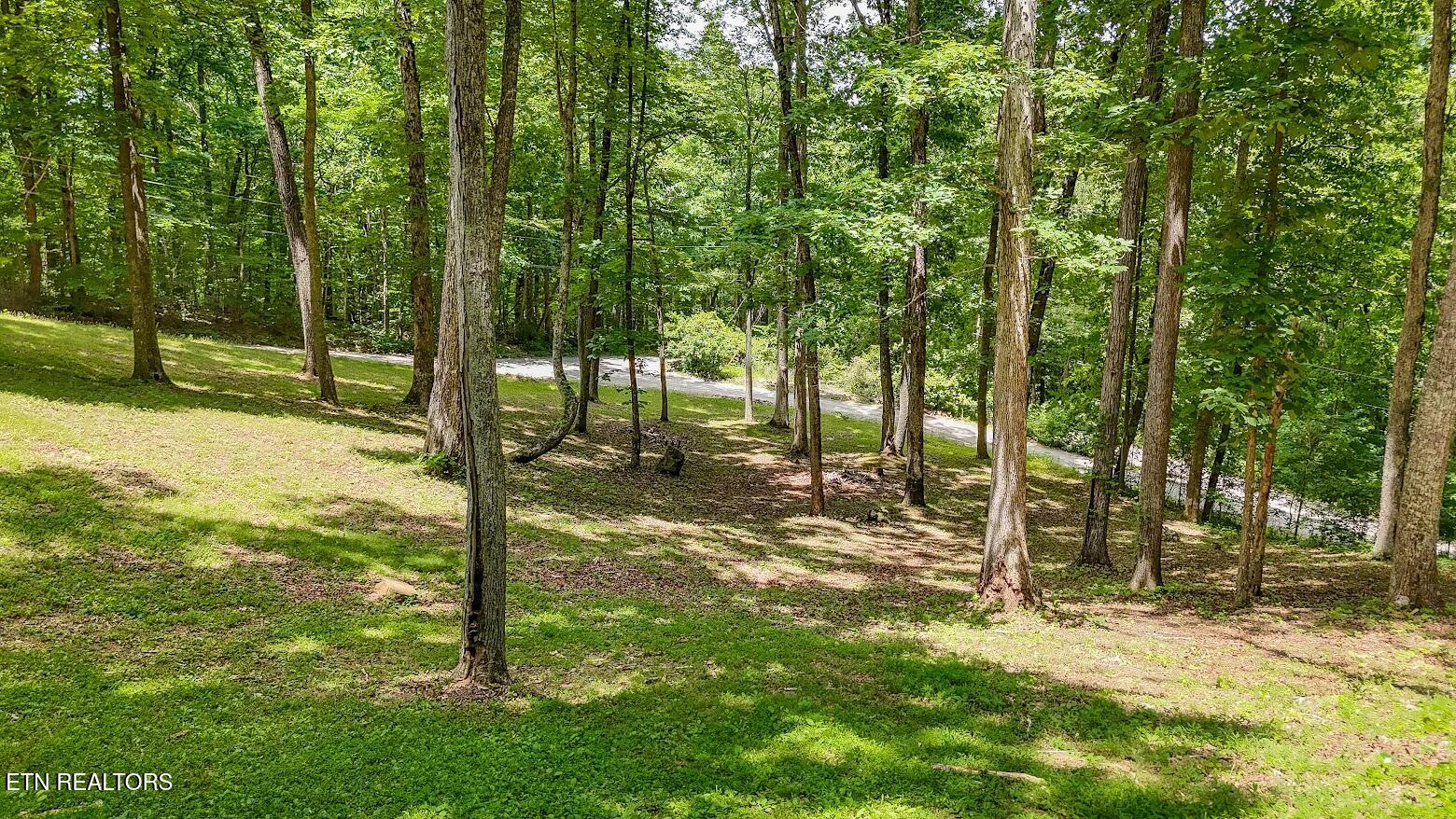701 Cherokee Ridge Road Pikeville, TN 37367 - Photo 33 of 60 9701