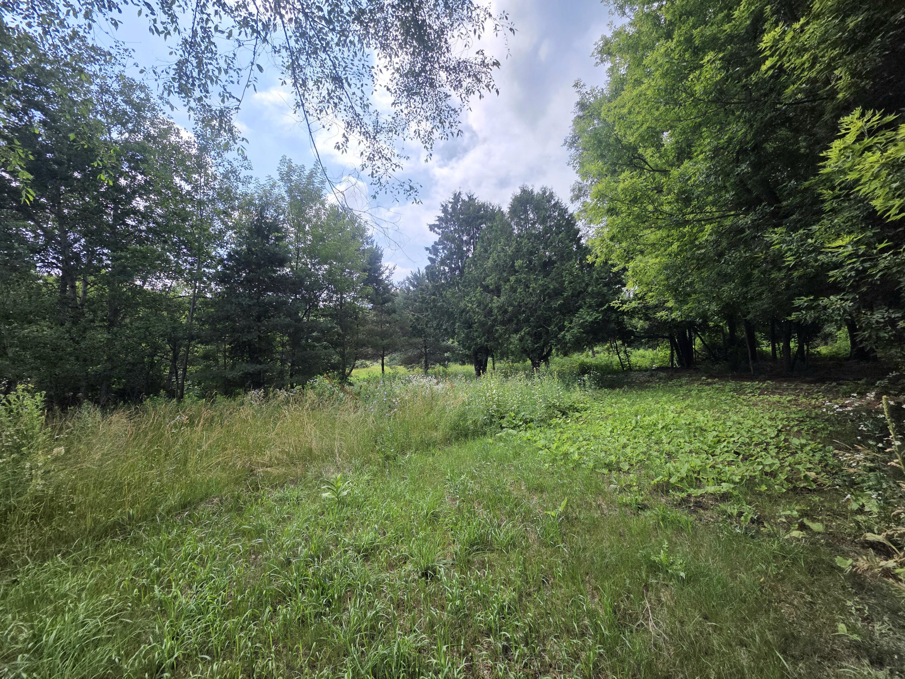 306 Condensery Road Sheridan, MI 48884 - Photo 1 of 4 20250710_105947