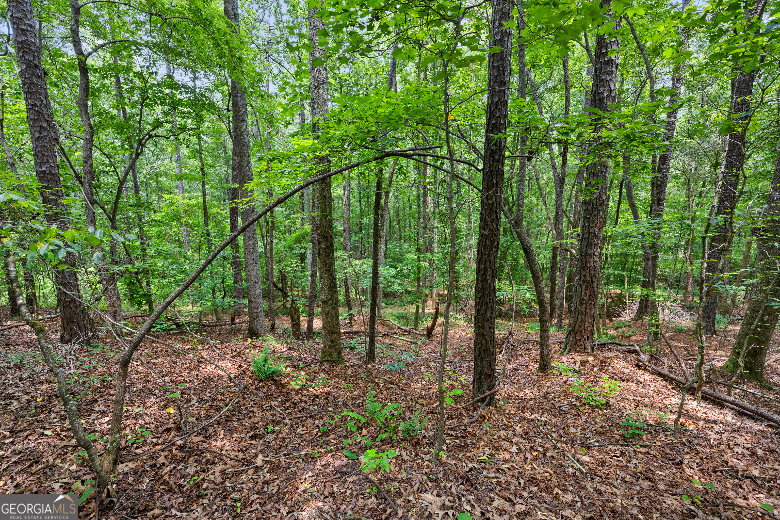0 Terry Road Fairburn, GA 30213 - Photo 11 of 22