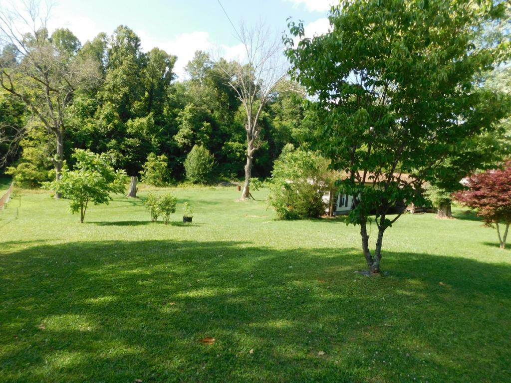 476 Deck Valley Road Bristol, TN 37620 - Photo 19 of 21 Large pretty lot