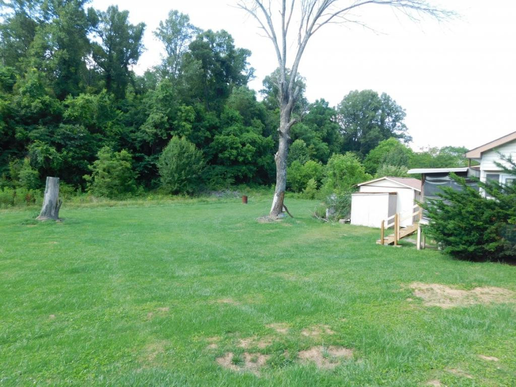 476 Deck Valley Road Bristol, TN 37620 - Photo 4 of 21 Large level back yard