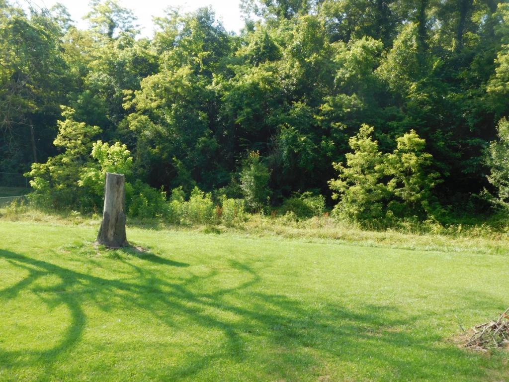 476 Deck Valley Road Bristol, TN 37620 - Photo 5 of 21 Bridge over creek