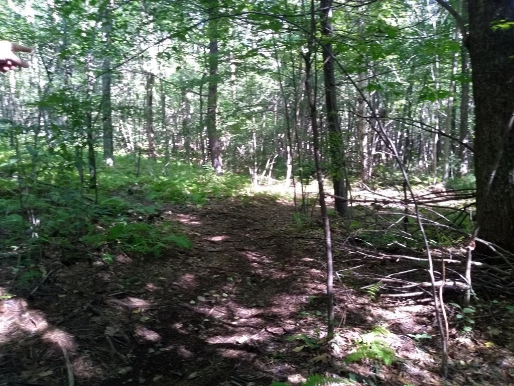 85 Tucker Road New Braintree, MA 01531 - Photo 25 of 32 Gallery Image 25
