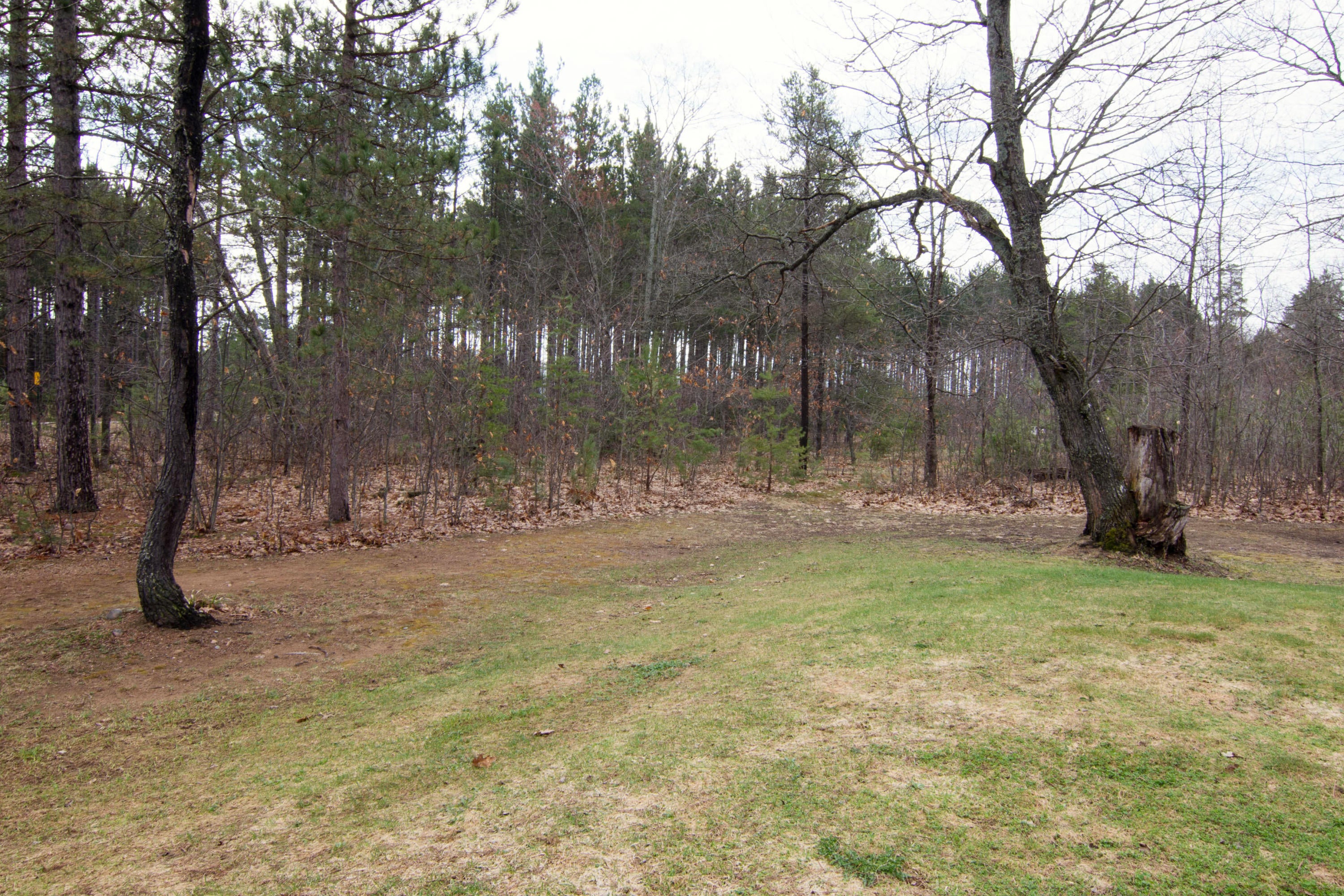 17850 South Deer Run Road Kinross, MI 49752 - Photo 8 of 40 Gallery Image 8