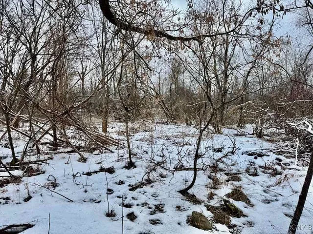 $72,500 | 15590 Co Rt 91, Mannsville, NY 13661