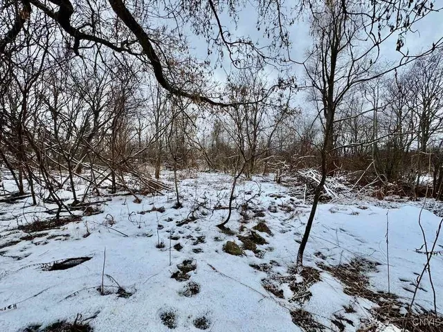 $72,500 | 15590 Co Rt 91, Mannsville, NY 13661