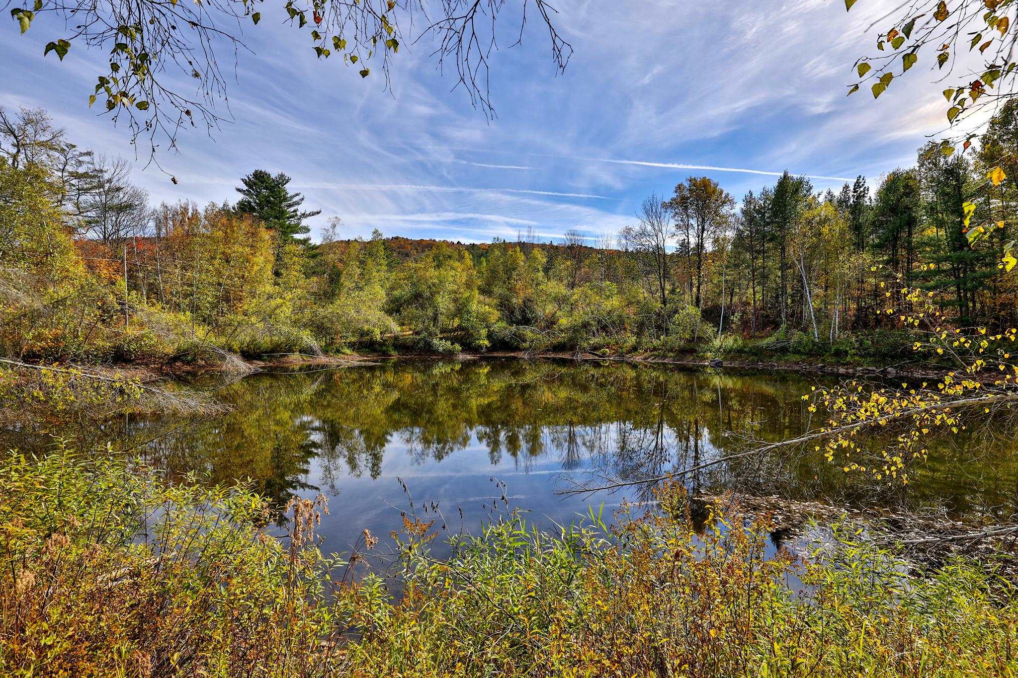 2140 Brandon Mountain Road Rochester, VT 05767 - Photo 44 of 45