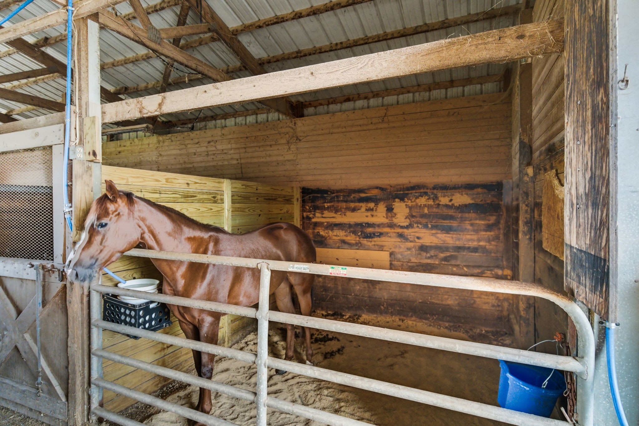 1021 Maple Grove Road Lafayette, TN 37083 - Photo 42 of 49 a view of building with glass door