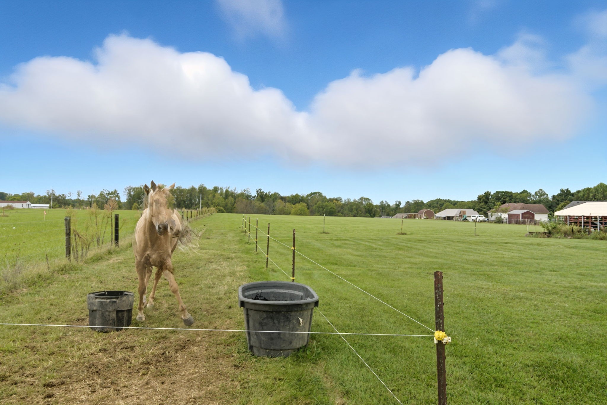 1021 Maple Grove Road Lafayette, TN 37083 - Photo 46 of 49 a view of a lake with a yard