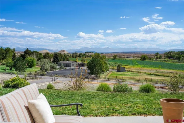 a view of a big yard with plants and a garden