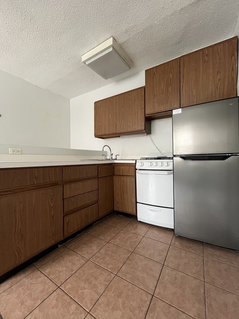 3727 North Pine Grove Avenue, Unit 307 Chicago, IL 60613 - Photo 2 of 8