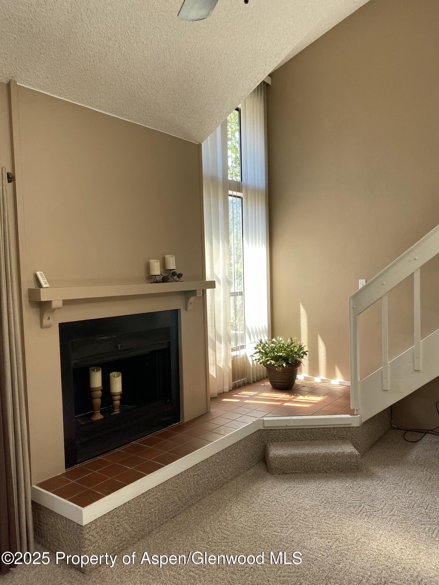 3900 Old Lodge Road, Unit A6 Glenwood Springs, CO 81601 - Photo 5 of 22 IMG_4120