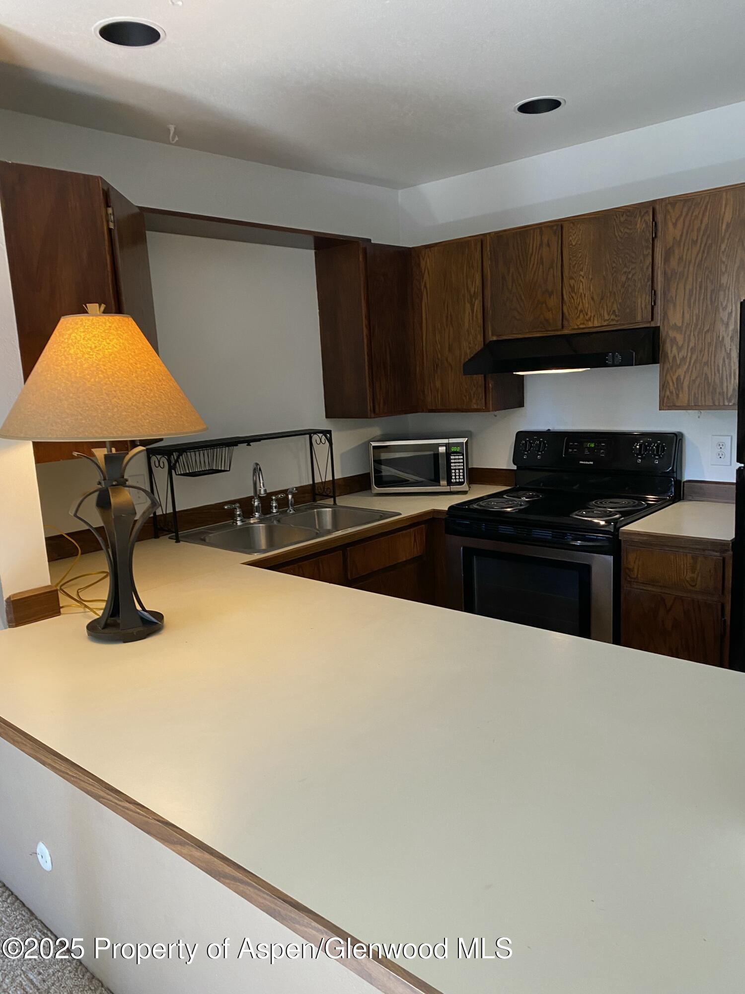 3900 Old Lodge Road, Unit A6 Glenwood Springs, CO 81601 - Photo 6 of 22 IMG_4121