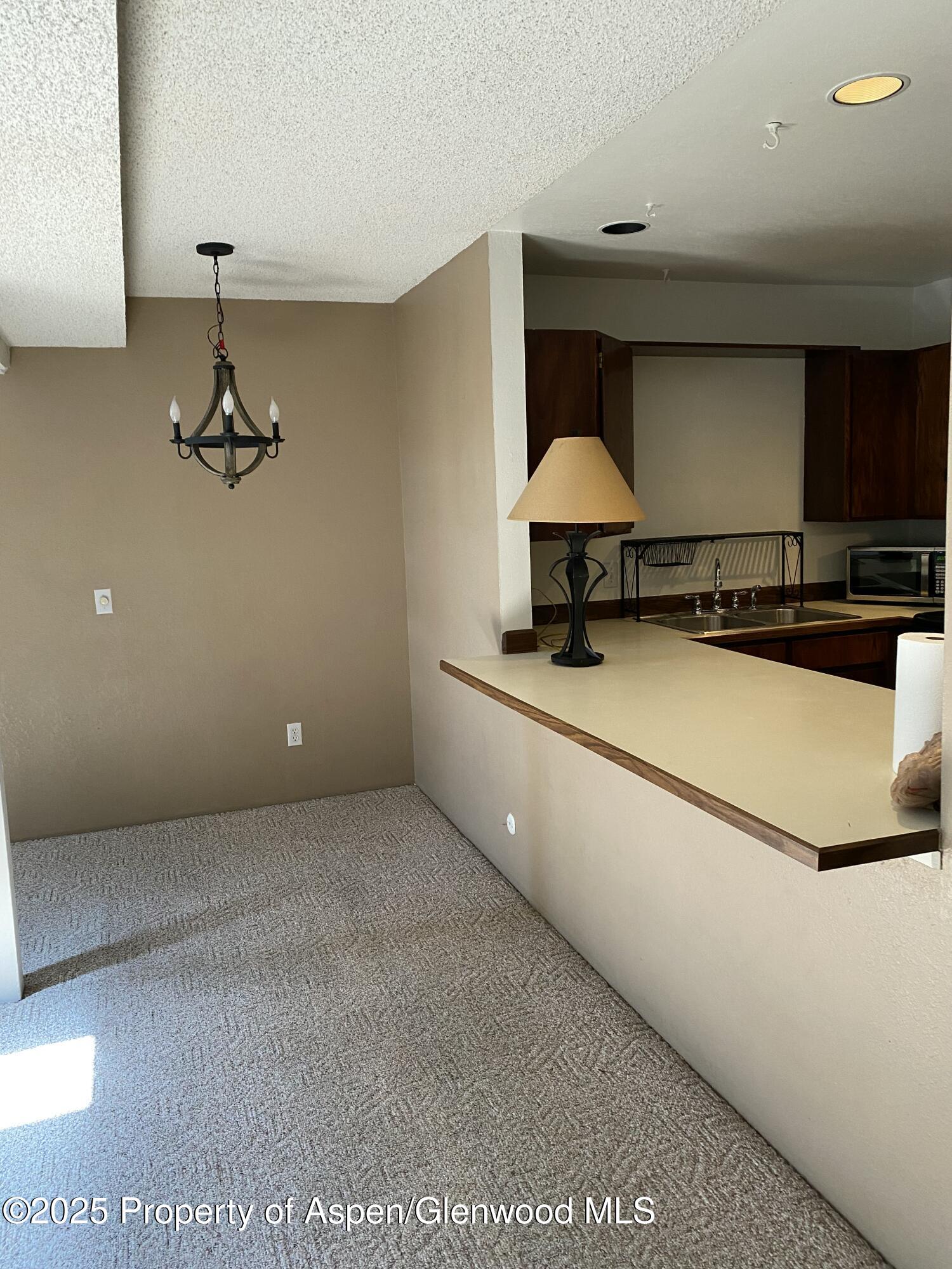 3900 Old Lodge Road, Unit A6 Glenwood Springs, CO 81601 - Photo 9 of 22 IMG_4124