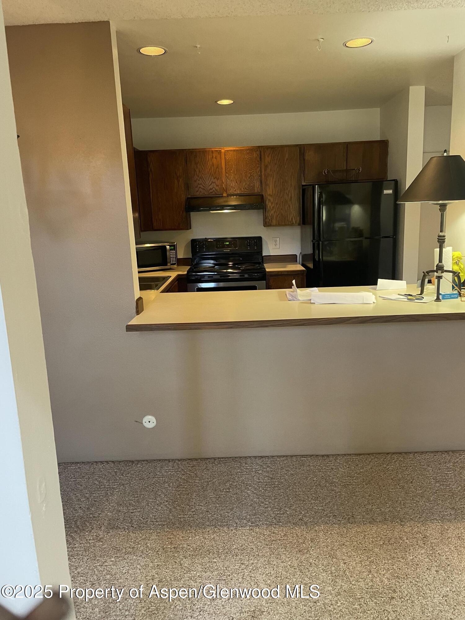 3900 Old Lodge Road, Unit A6 Glenwood Springs, CO 81601 - Photo 10 of 22 Photo Oct 21 2025, 11 29 40 AM