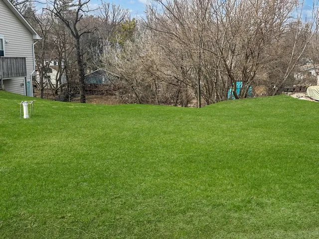 a view of green field with trees in the background