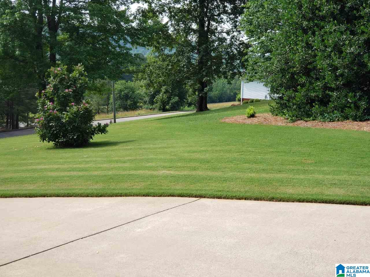 60 Easy Street Oneonta, AL 35121 - Photo 31 of 43