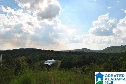 Bluff Springs Road Ashland, AL 36251 - Photo 6 of 12