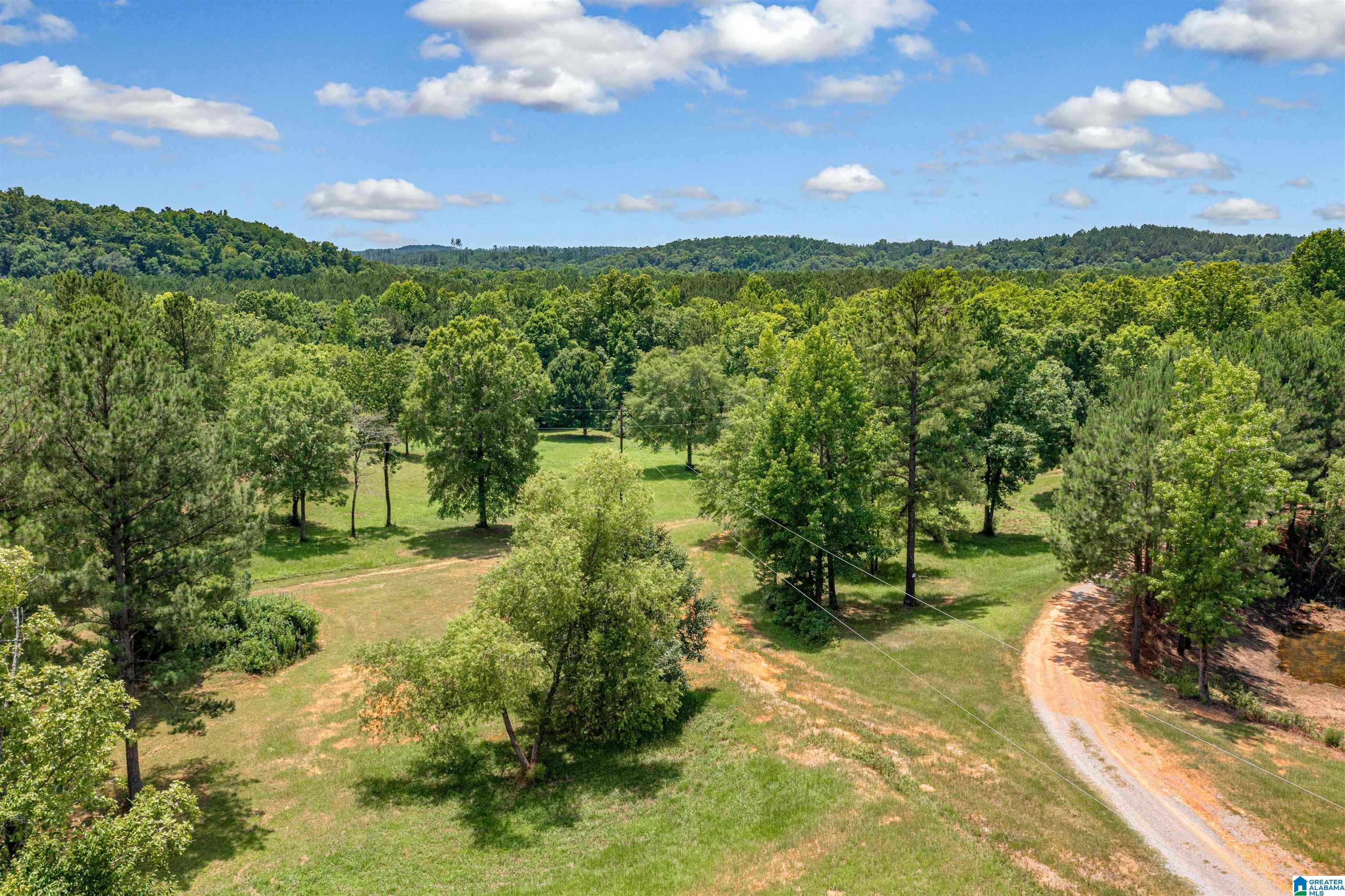 0 Hurricane Valley Road, Unit 1 Brookwood, AL 35444 - Photo 20 of 24