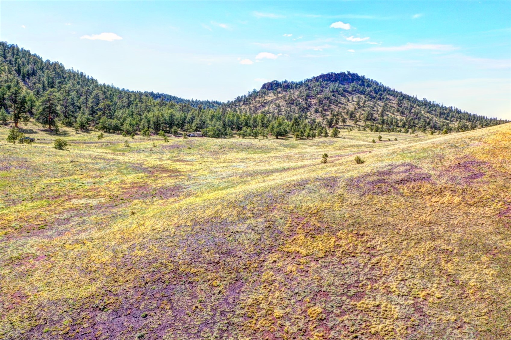 Tbd Black Beaver Road Hartsel, CO 80449 - Photo 4 of 9 Gallery Image 4