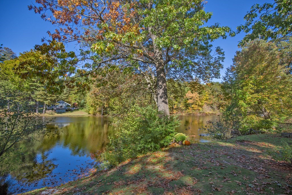 173 Cottage Road Enfield, CT 06082 - Photo 5 of 41 a view of a lake with a tree