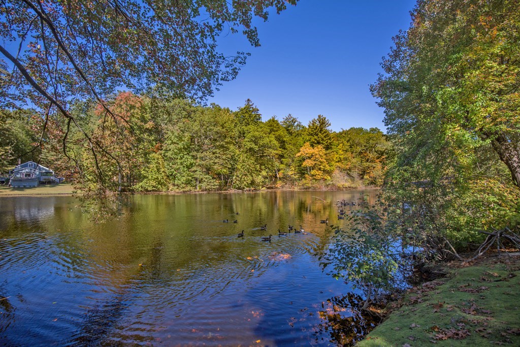 173 Cottage Road Enfield, CT 06082 - Photo 6 of 41 a view of lake from a house