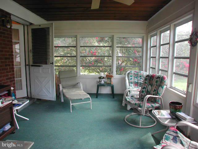 4239 Powder Mill Road Beltsville, MD 20705 - Photo 15 of 23 Interior (General)