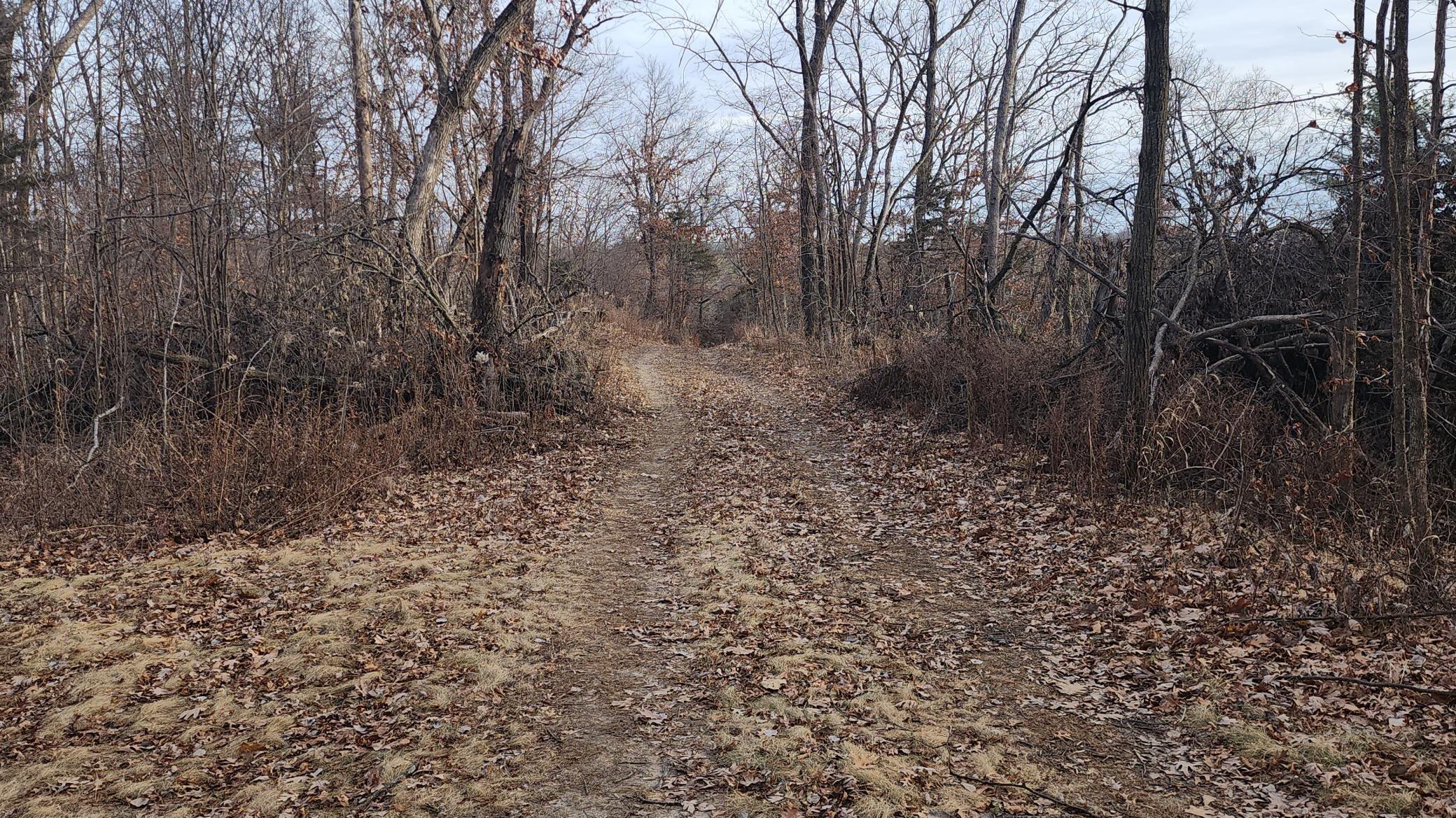 1 Southeast Pleasant Grove Southeast Rochester, MN 55904 - Photo 11 of 13