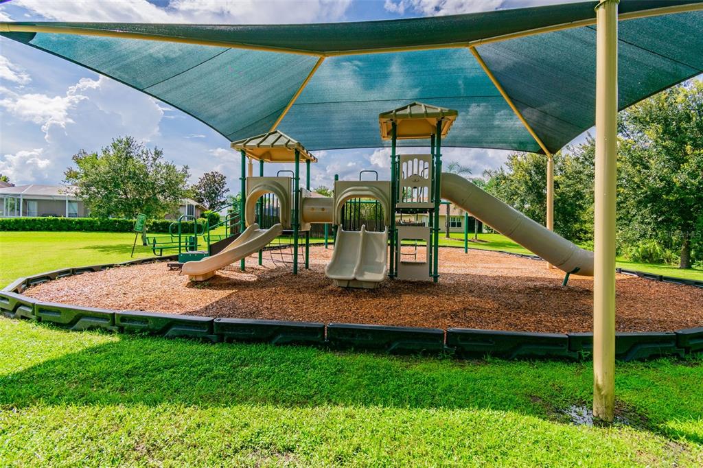 1032 Jacob Way Odessa, FL 33556 - Photo 56 of 60