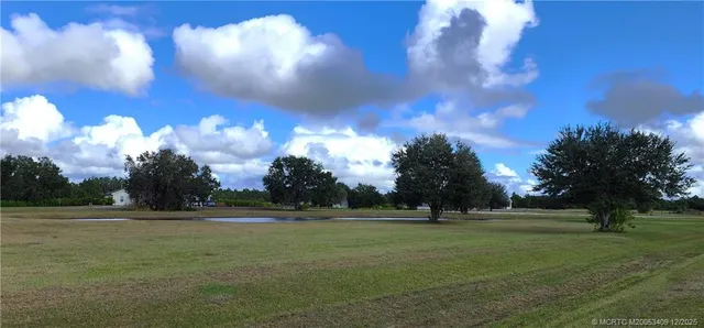 a view of yard with swimming pool and green
