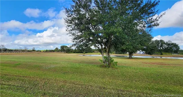 a view of a field with trees in the background