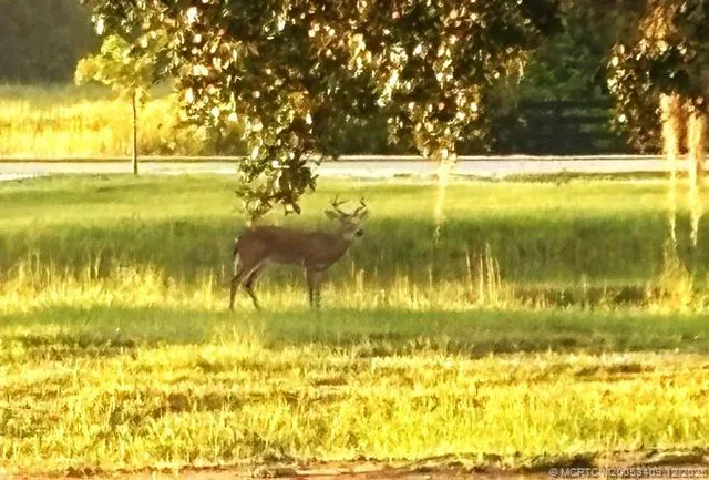 $949,000 | 13559 Southeast 22nd Lane, Okeechobee, FL 34974