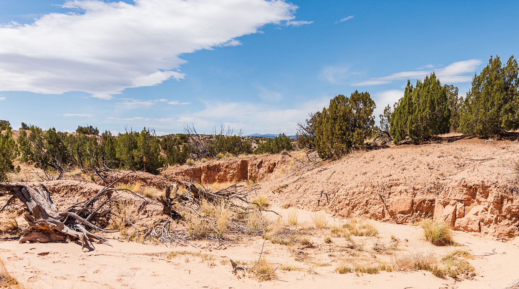 0 El Rito Estates Abiquiu, NM 87510 - Photo 43 of 56 Meander down the arroyos!