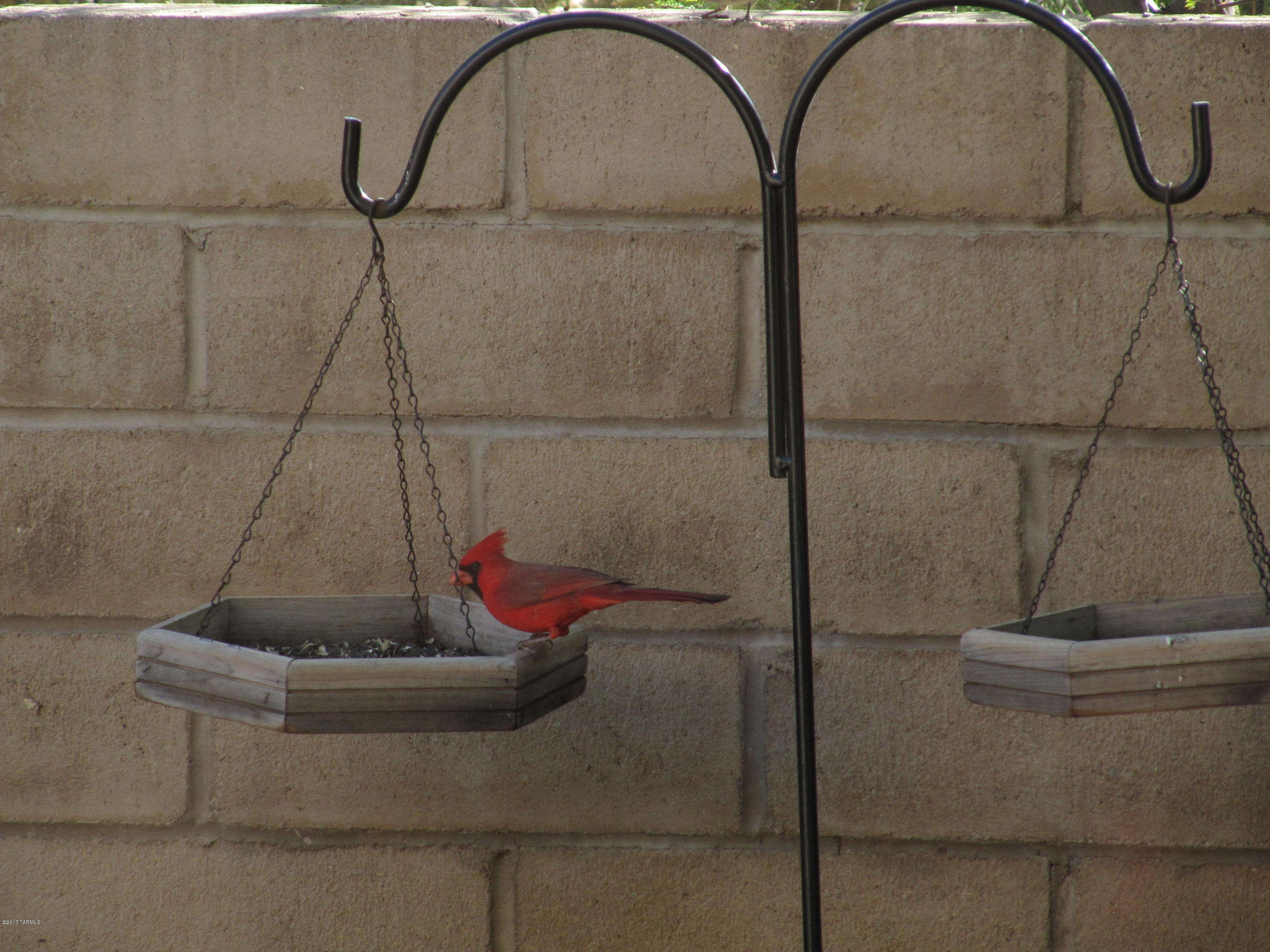 5196 Spring View Drive Tucson, AZ 85749 - Photo 43 of 50 Gallery Image 43