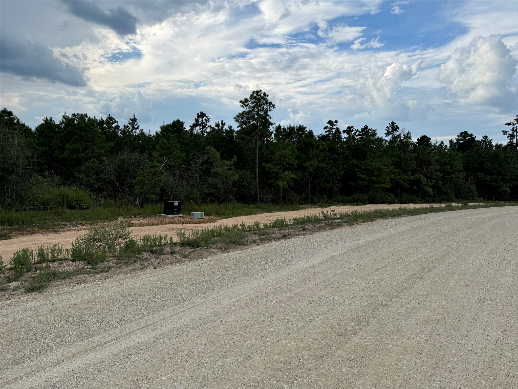16246 Ridge Oak Road Willis, TX 77378 - Photo 9 of 19