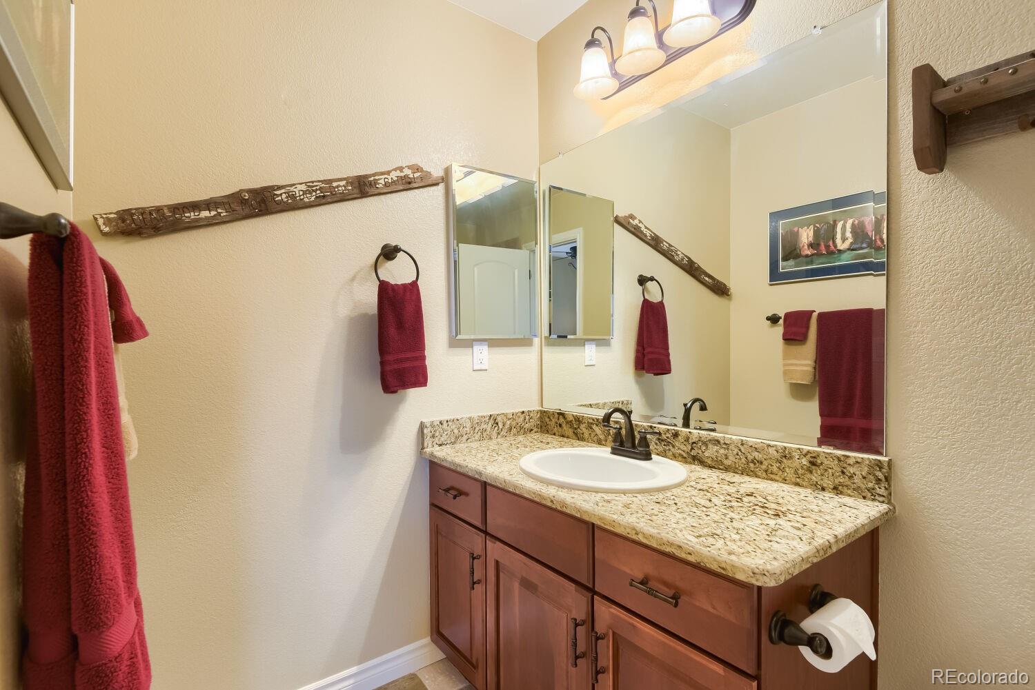9309 Viaggio Way Highlands Ranch, CO 80126 - Photo 29 of 47