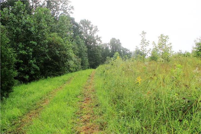 9879 Bud Quirrell Road Bon Aqua, TN 37025 - Photo 17 of 20 Gallery Image 17