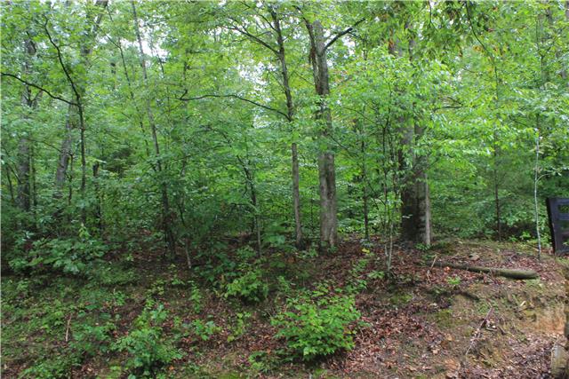9879 Bud Quirrell Road Bon Aqua, TN 37025 - Photo 5 of 20 Gallery Image 5