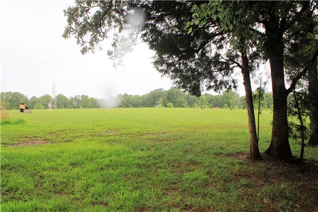 9879 Bud Quirrell Road Bon Aqua, TN 37025 - Photo 8 of 20 Gallery Image 8