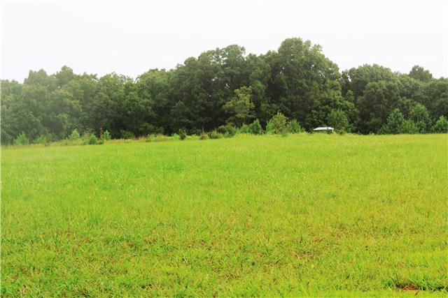 9879 Bud Quirrell Road Bon Aqua, TN 37025 - Photo 10 of 20 Gallery Image 10