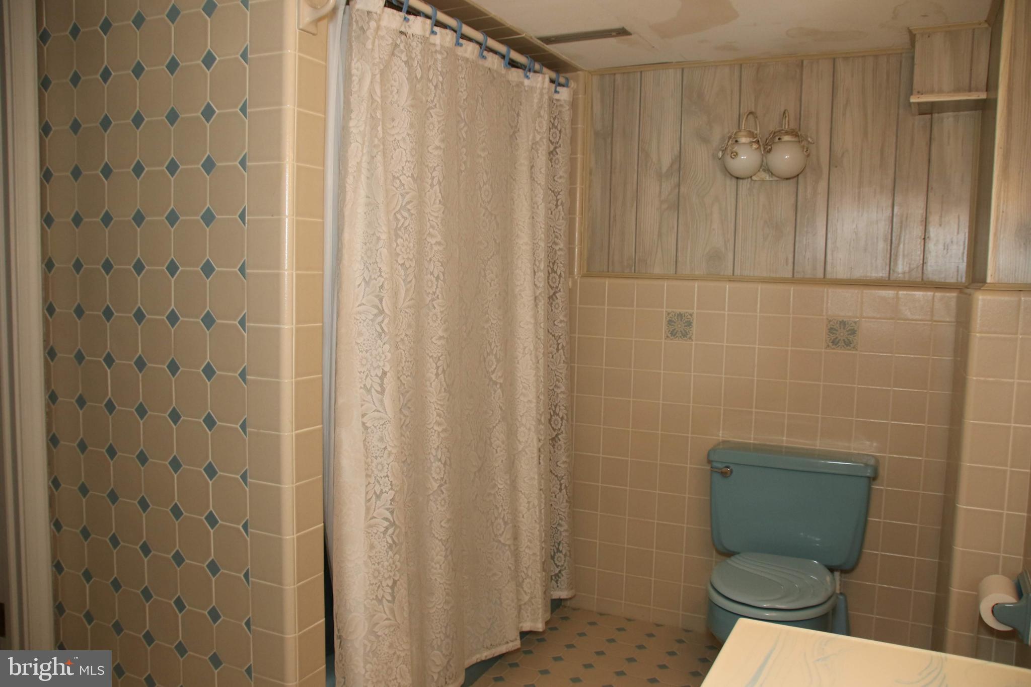 403 Pinecrest Road Norristown, PA 19403 - Photo 21 of 40 Lower Level Full Bath