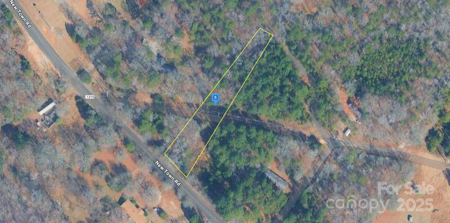 a view of a forest with a tree