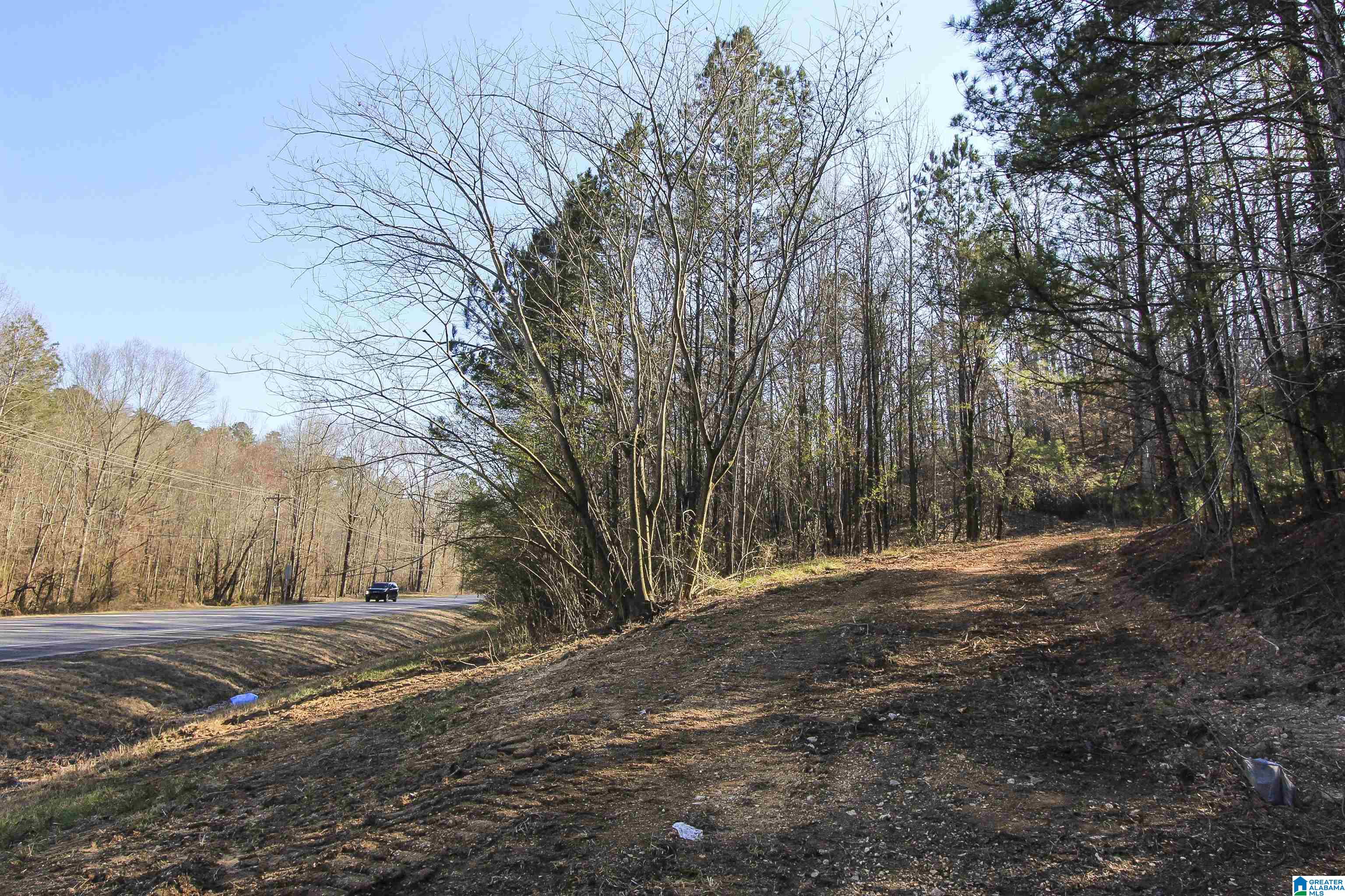 15 Mohawk Trail, Unit 4 AC Ohatchee, AL 36271 - Photo 17 of 28