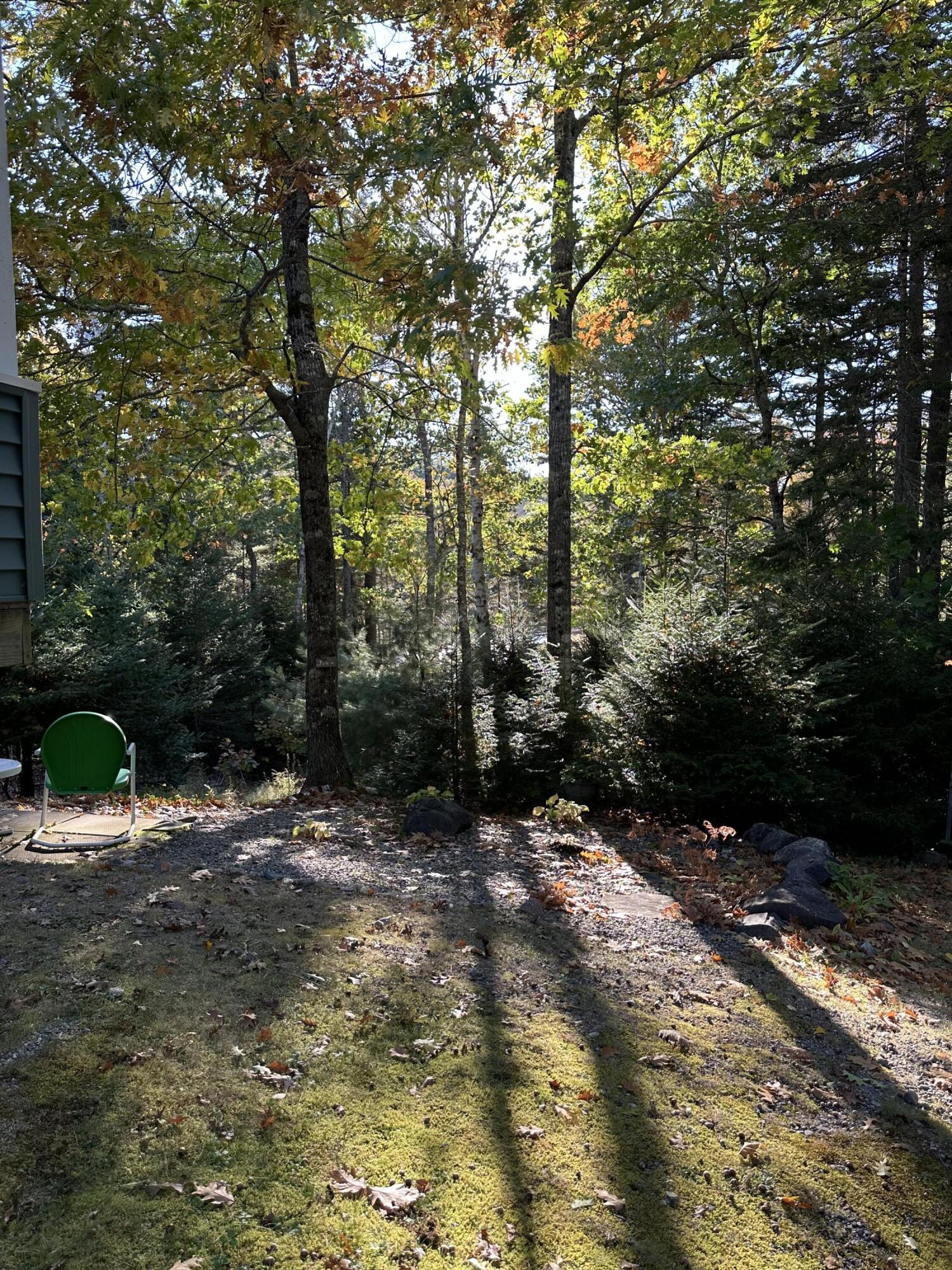 602 Spragues Falls Road Cherryfield, ME 04622 - Photo 23 of 52 IMG_2971